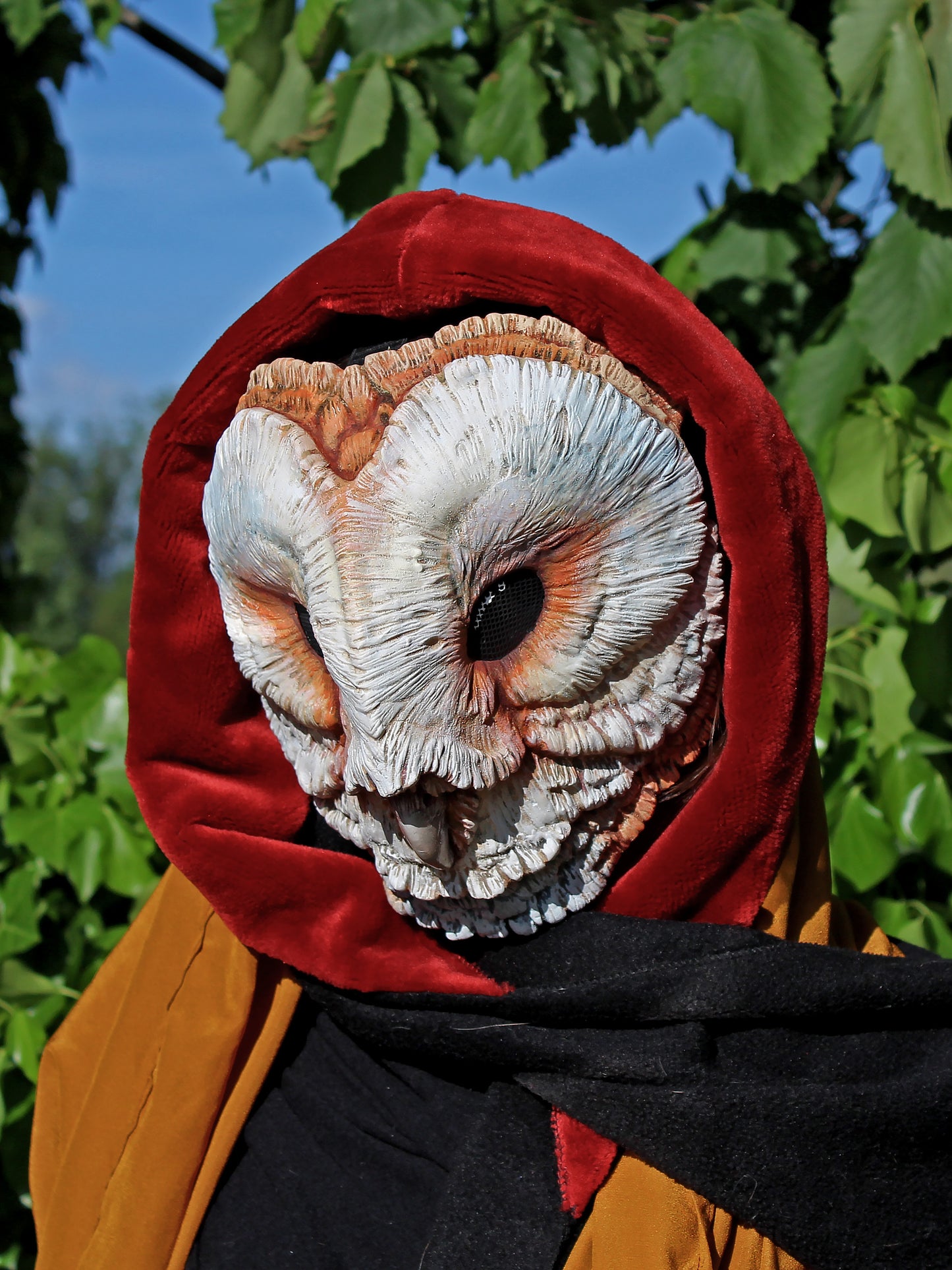 Blank Barn Owl - Ready to Ship